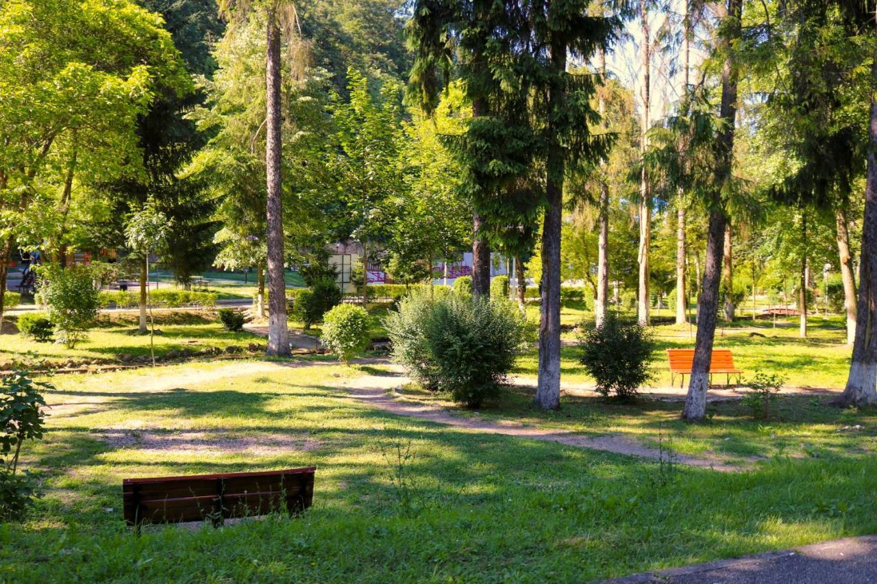 Apartament Iulia Geoagiu Băi 外观 照片