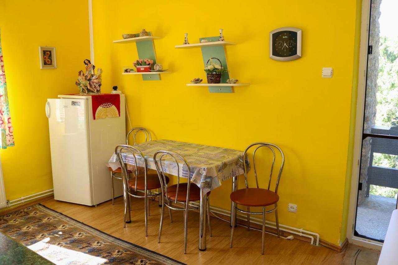 Apartament Iulia Geoagiu Băi 外观 照片