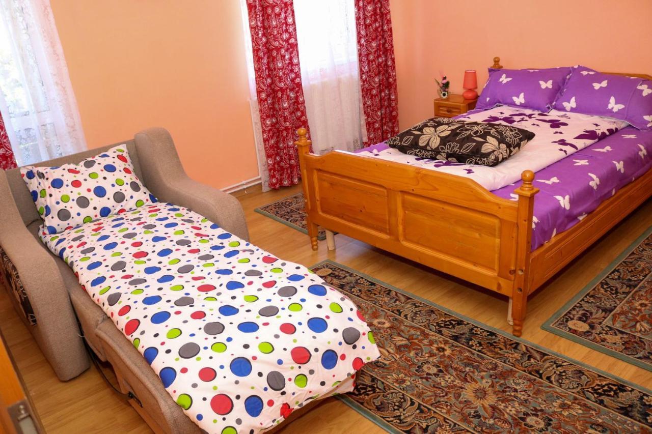 Apartament Iulia Geoagiu Băi 外观 照片