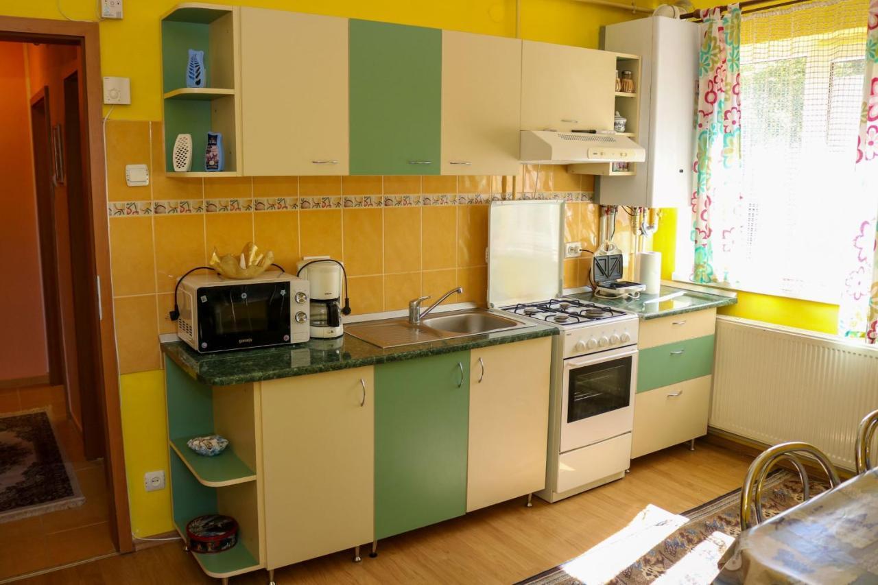 Apartament Iulia Geoagiu Băi 外观 照片