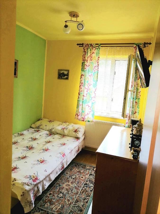 Apartament Iulia Geoagiu Băi 外观 照片